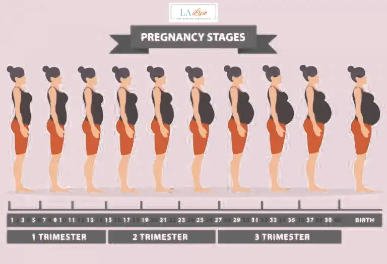 First Trimester (Weeks 1–12): Early Changes You Might Not Notice Houghton Regis